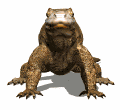 komodo dragon tours - komodo island